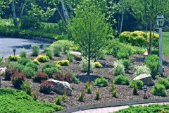 Landscaping-img060