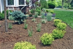 Landscaping-img064