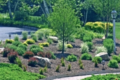 Landscaping-img066