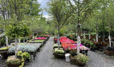 Nursery Products NJ