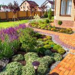 beautiful landscaping with beautiful plants and flowers