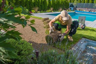 Lush Lawns: Tips for Perfect Grass; Caucasian Professional Gardener Carefully Rolling Out Turf Grass Rolls While Installing the Instant Lawn Around the Outdoor Swimming Pool. Backyard Resting Area.