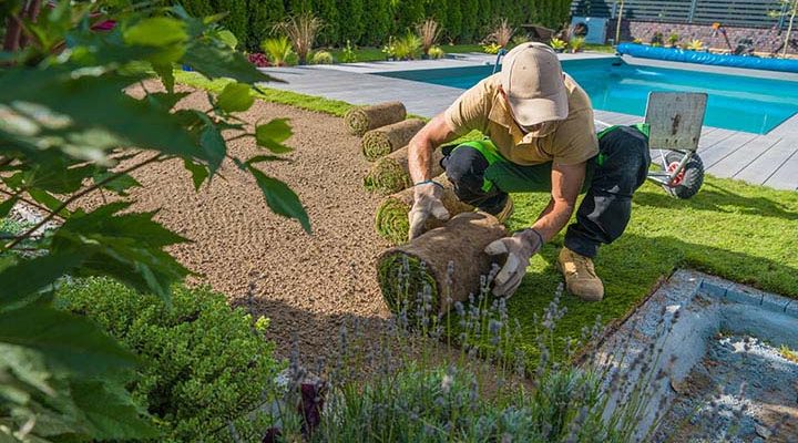 Lush Lawns: Tips for Perfect Grass; Caucasian Professional Gardener Carefully Rolling Out Turf Grass Rolls While Installing the Instant Lawn Around the Outdoor Swimming Pool. Backyard Resting Area.