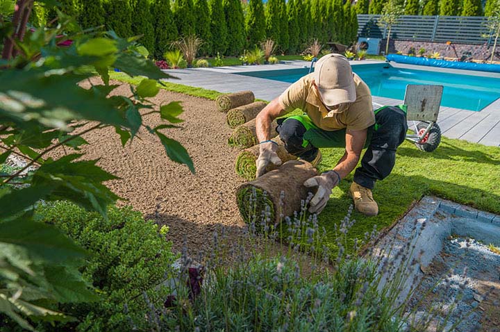 Lush Lawns: Tips for Perfect Grass; Caucasian Professional Gardener Carefully Rolling Out Turf Grass Rolls While Installing the Instant Lawn Around the Outdoor Swimming Pool. Backyard Resting Area.