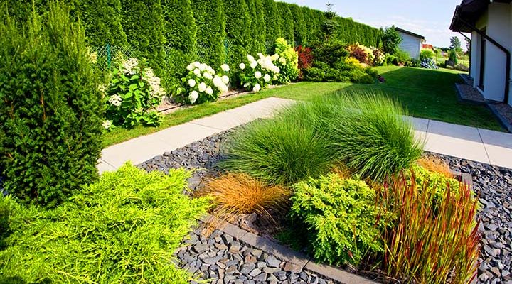 Seasonal Splendor: Year-Round Garden Beauty | The frontyard of a modern house, garden details with colorful plants, dry grass beds surrounded by grey rocks.