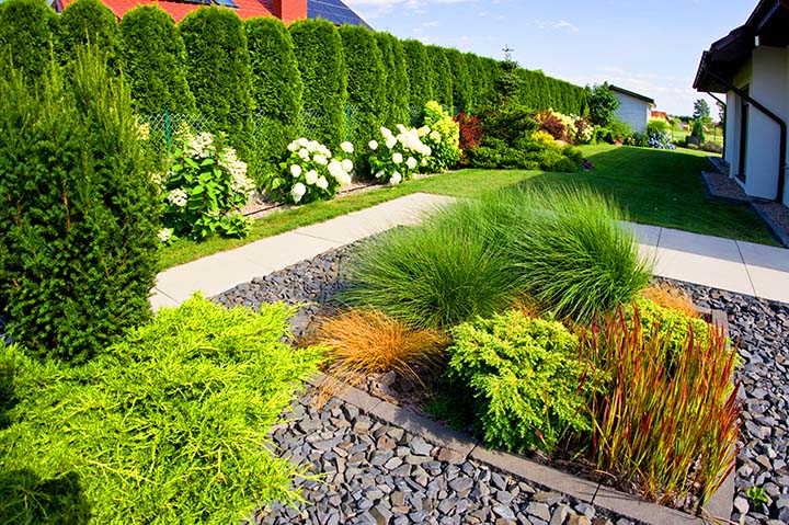 Seasonal Splendor: Year-Round Garden Beauty | The frontyard of a modern house, garden details with colorful plants, dry grass beds surrounded by grey rocks.