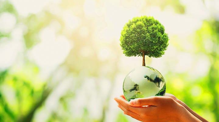 hand holding glass globe ball with tree growing and green nature blur background. eco concept