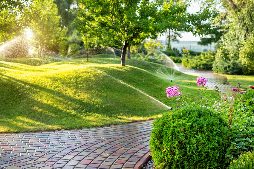  Irrigation Sprinkler Lawn Watering Installation Contractor New Providence, Union County, NJ