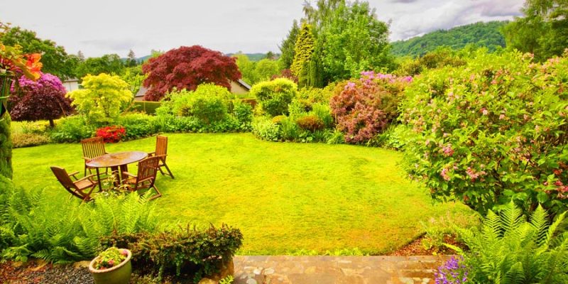 How Can You Keep Your Garden Vibrant in Summer? Essential Landscaping Tips for Hot Weather