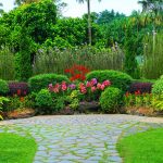 How to Design a Drought-Resistant Garden? Sustainable Practices for Summer Landscaping