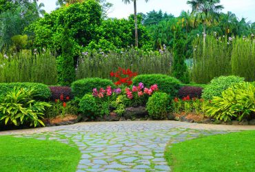 How to Design a Drought-Resistant Garden? Sustainable Practices for Summer Landscaping