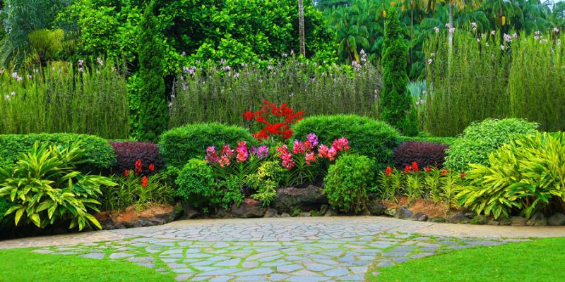 How to Design a Drought-Resistant Garden? Sustainable Practices for Summer Landscaping