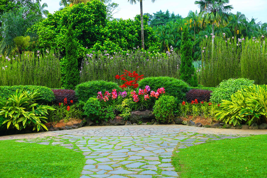 How to Design a Drought-Resistant Garden? Sustainable Practices for Summer Landscaping