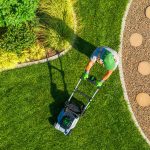 7 Things to Know About Summer Lawn Care: Keeping Your Grass Green and Healthy