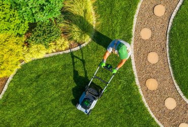 7 Things to Know About Summer Lawn Care: Keeping Your Grass Green and Healthy