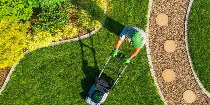 7 Things to Know About Summer Lawn Care: Keeping Your Grass Green and Healthy