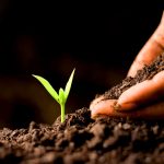 5 Tips for Autumn Soil Care: Preparing for the Colder Months