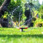 Autumn Irrigation Strategies: Adjusting Watering Schedules for Cooler Weather