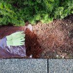 What Are the Benefits of Winter Mulching? Protecting Your Plants from the Cold