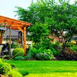 Winter landscaping tips to keep your yard stunning all season long