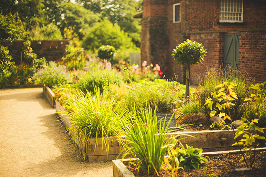 Winter Soil Care Tips to Keep Your Garden Healthy for Spring