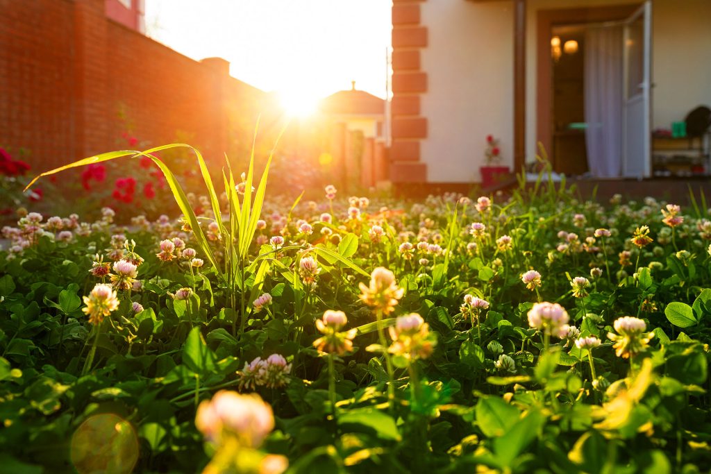 How to Make the Most of Spring Rain—Smart Watering and Drainage Tips