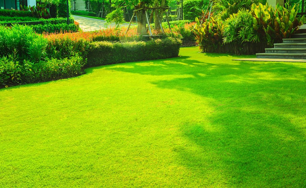 What your Backyard could Look Like this Time Next Season