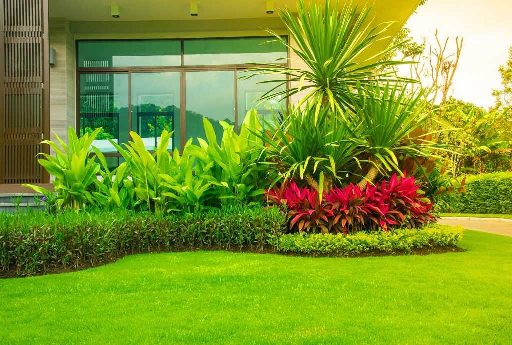 Big Shade, Bright Blooms, and Low Maintenance? Yes, You Can Have All Three