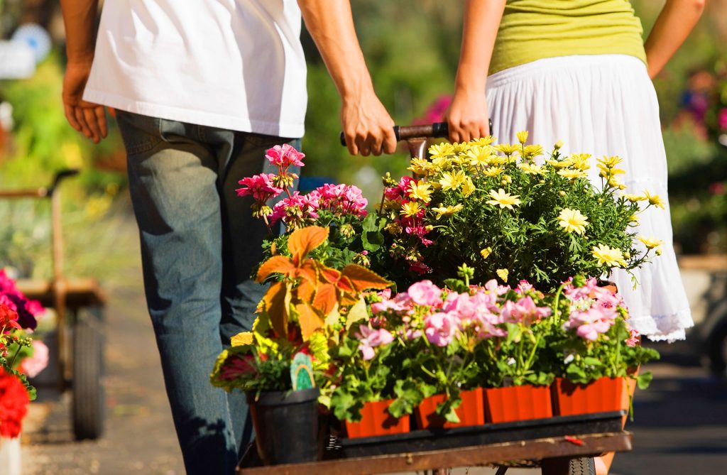 What’s Blooming at the Nursery this Month? A Lot You Don’t Want to Miss