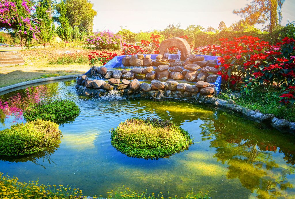 Stone, Wood, Water, Light, the Elements of Unforgettable Landscapes