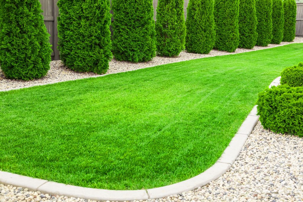 What Your Lawn Would Say If It Could Talk