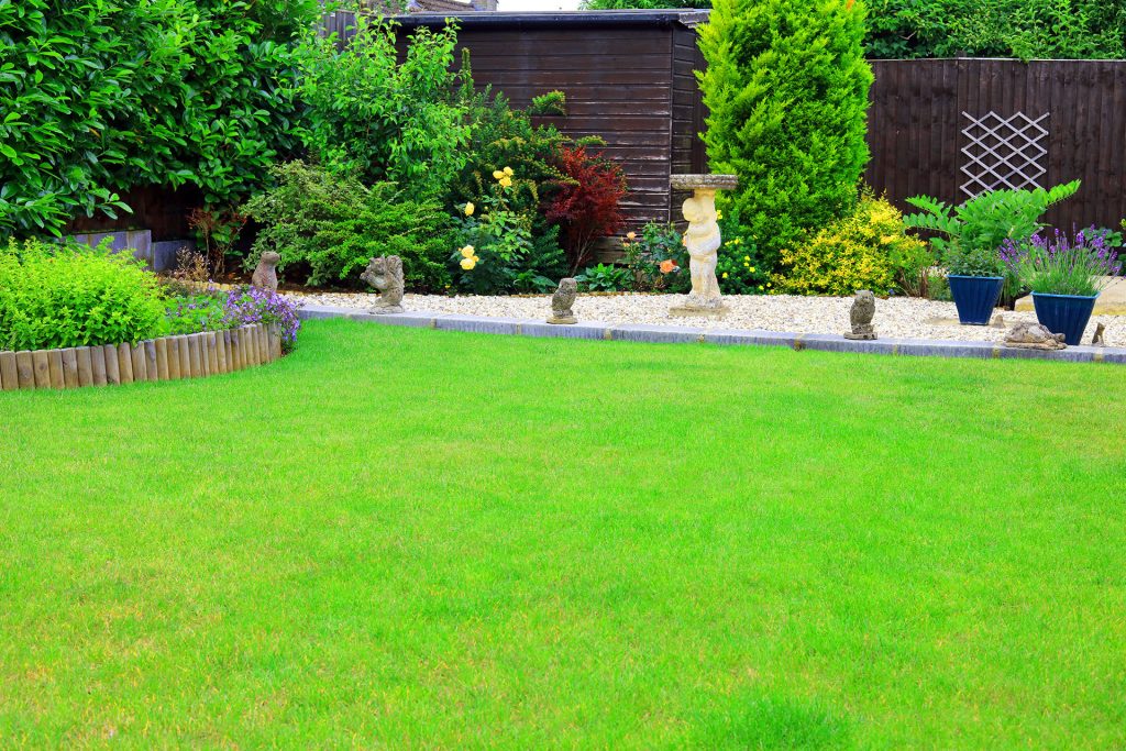 What Actually Happens to Your Garden When You Skip Fall Cleanup