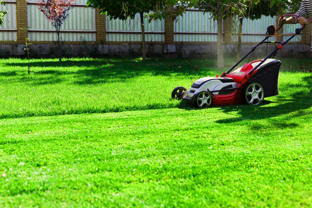What Every Homeowner Gets Wrong About Lawn Care