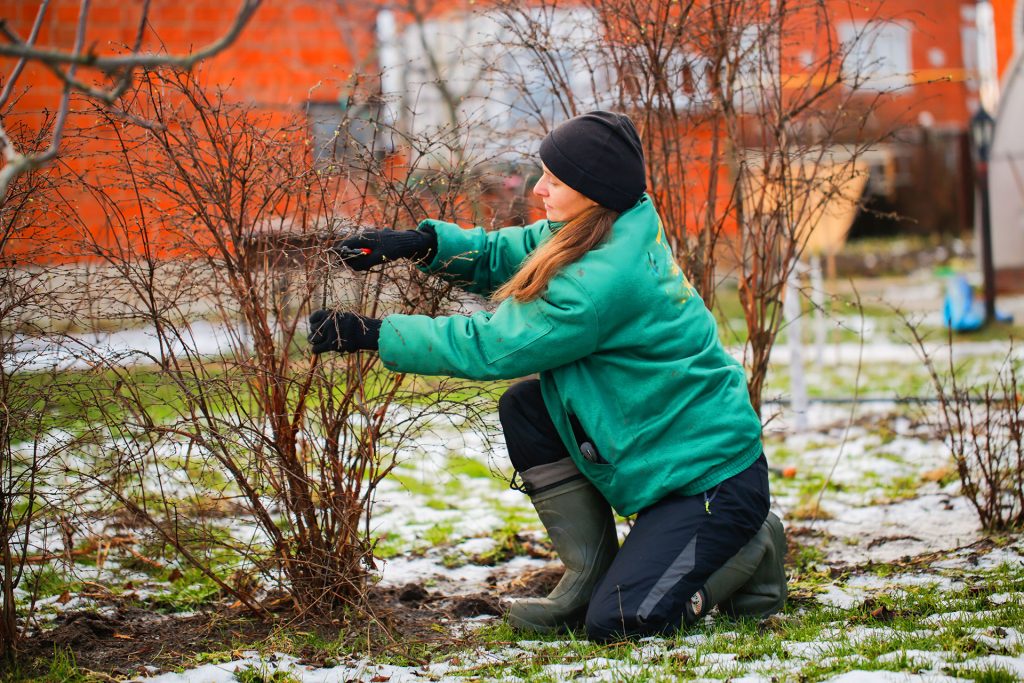 Is Your Garden Ready for Freezing Temps? Here’s What You Should Do
