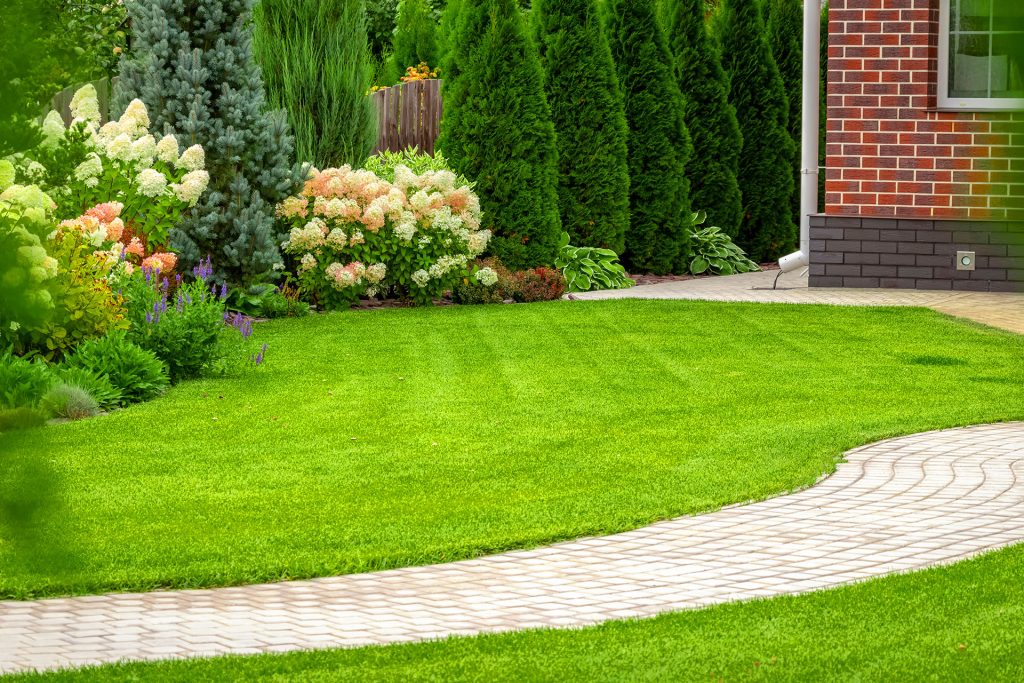 The Truth About “Low-Maintenance” Landscaping