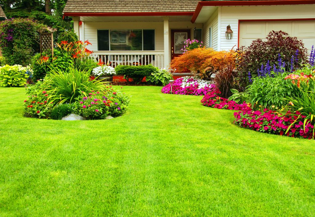 What’s Secretly Ruining Your Landscape
