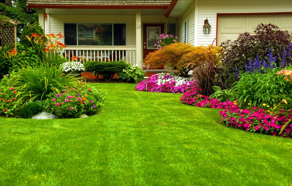 Small Yard Landscape Design: Transform Your Tiny Space Into a Stunning Outdoor Oasis