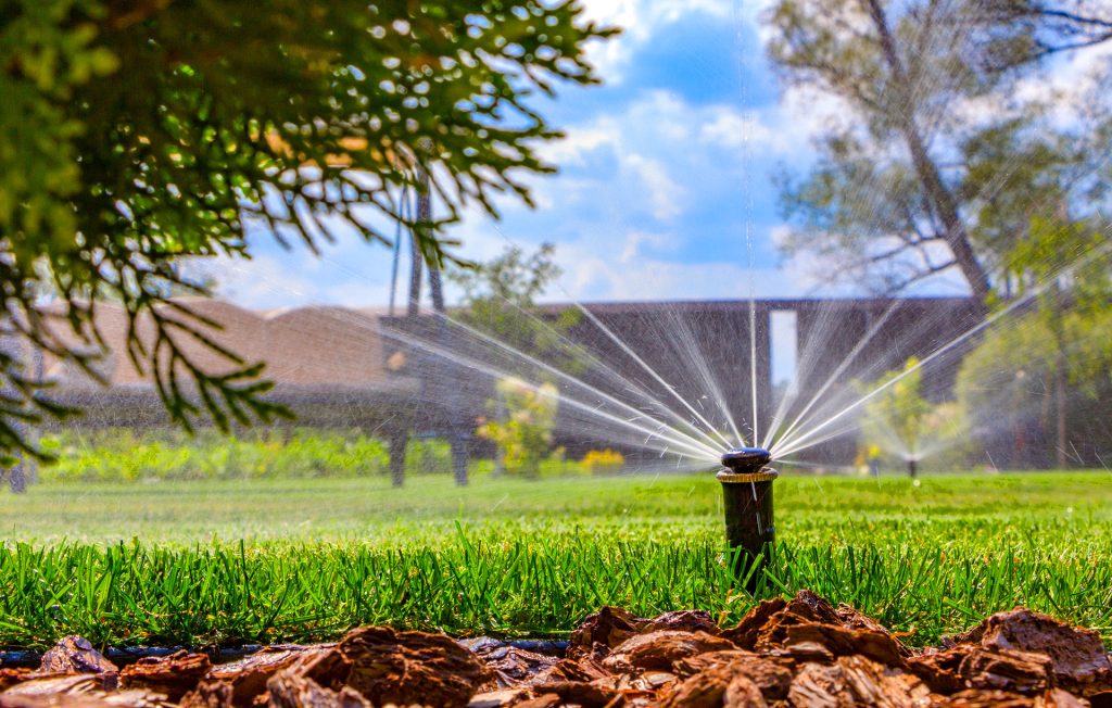 Above Ground Irrigation System: Complete Installation & Setup Guide