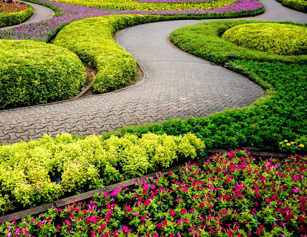 25 Low Maintenance Garden Plants That Thrive on Neglect