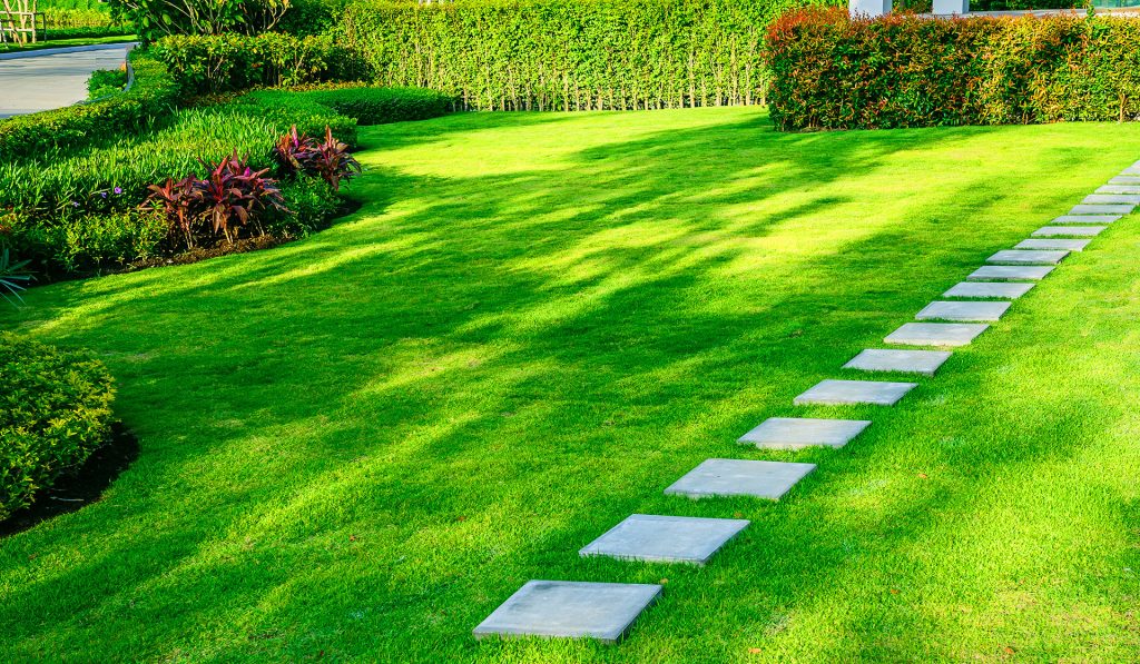 Manicured lawn with stepping stone path and trimmed hedges in professional landscape