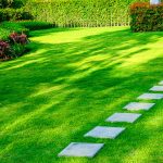 Manicured lawn with stepping stone path and trimmed hedges in professional landscape