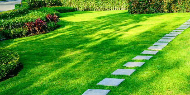 Manicured lawn with stepping stone path and trimmed hedges in professional landscape