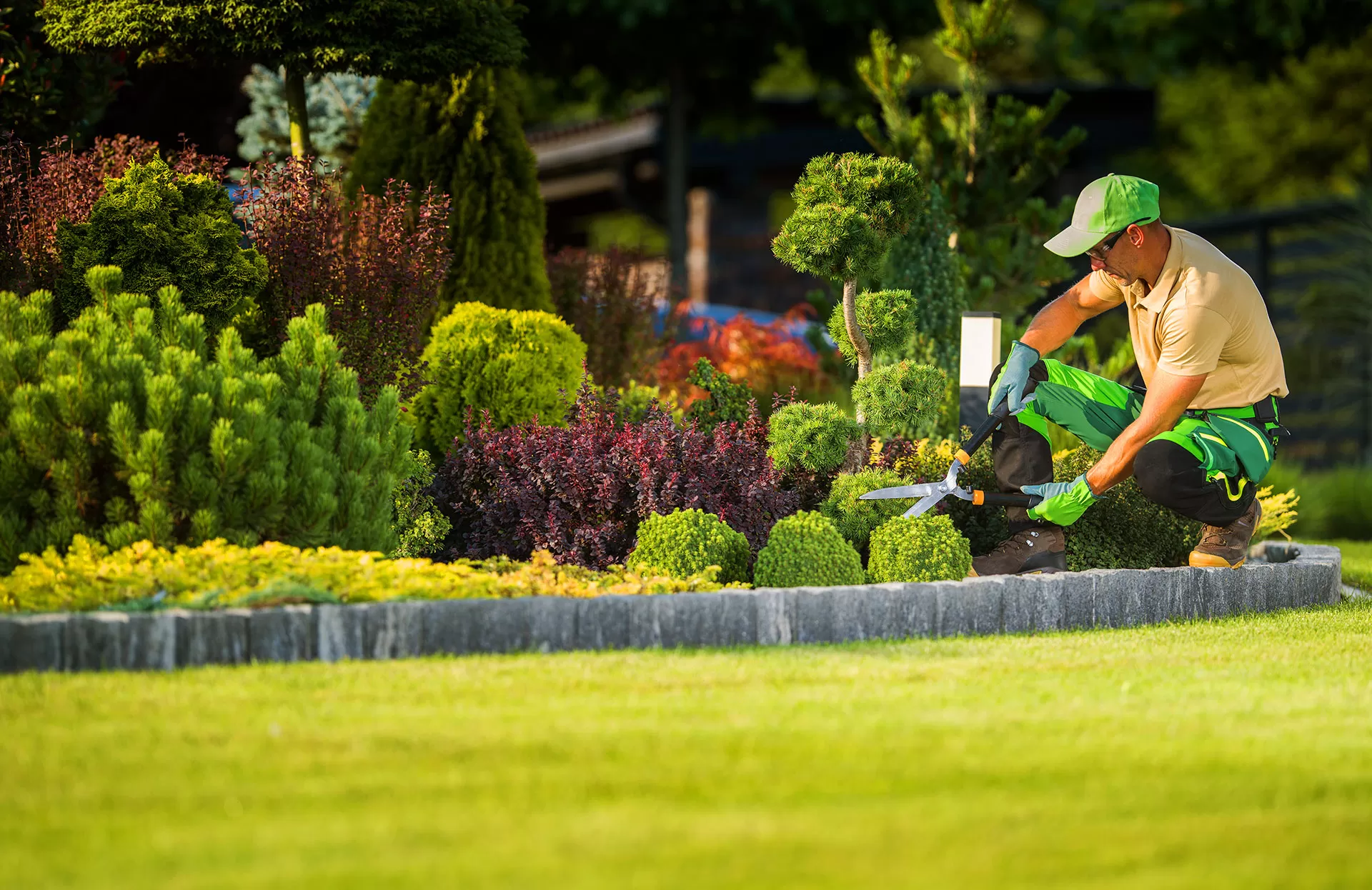 Landscaper trimming shrubs with shears in garden bed