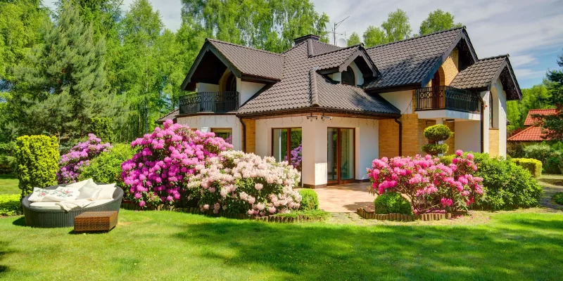 Landscaped front yard with blooming rhododendrons and brick house