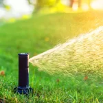 Sprinkler head watering green lawn at sunset