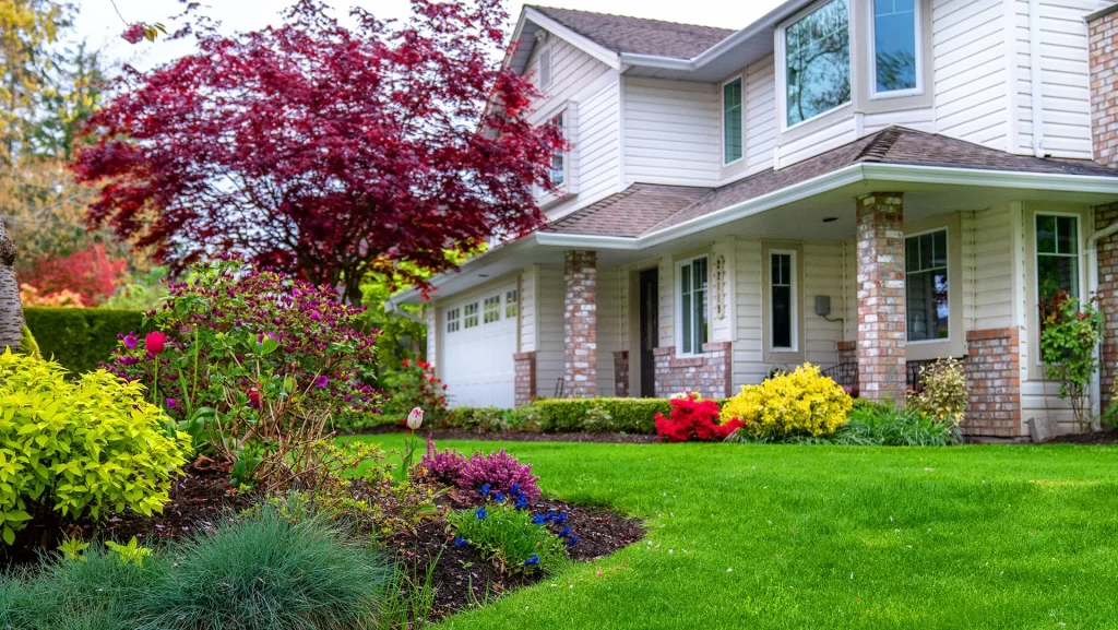 Landscaped front yard with flowering shrubs and manicured green lawn