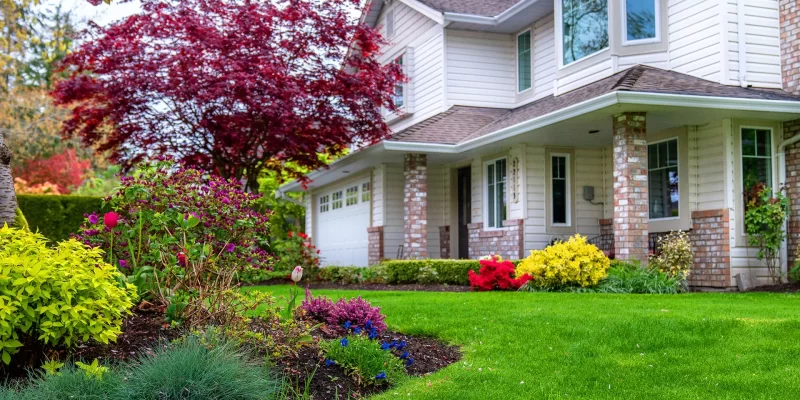 Landscaped front yard with flowering shrubs and manicured green lawn