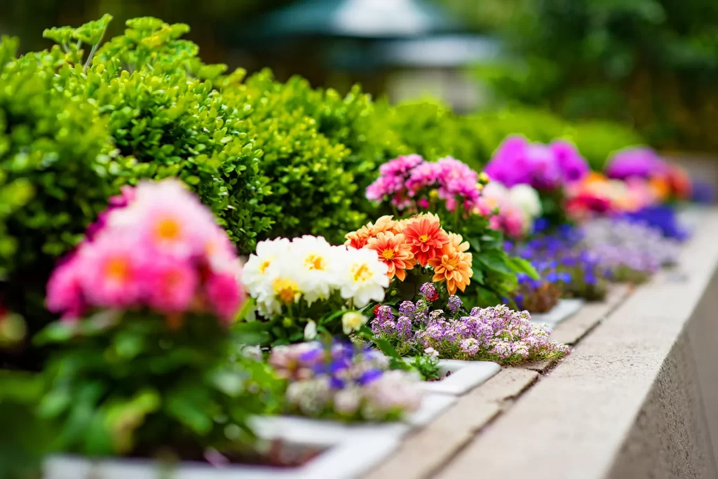 Colorful garden flower bed lining a stone edged walkway
