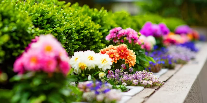 Colorful garden flower bed lining a stone edged walkway
